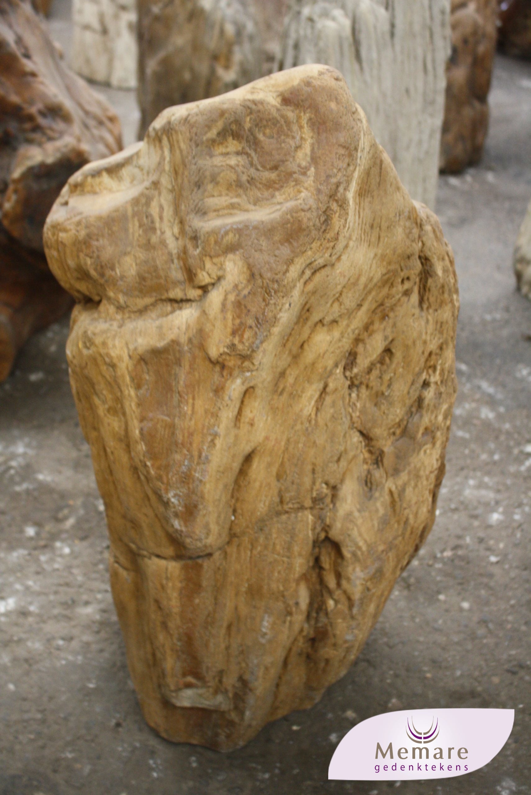 Versteend hout voor een grafmonumentd